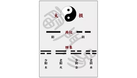 全陰反陽|命理基础知识梳理07：全阴全阳八字的人，都过得怎么。